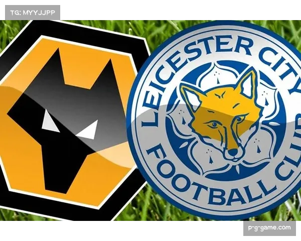 英超劲旅狼队陷低谷 管理层加速敲定新主帅重振士气